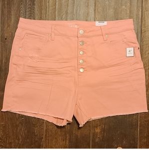 Time and Tru Womens sz 20 shorts